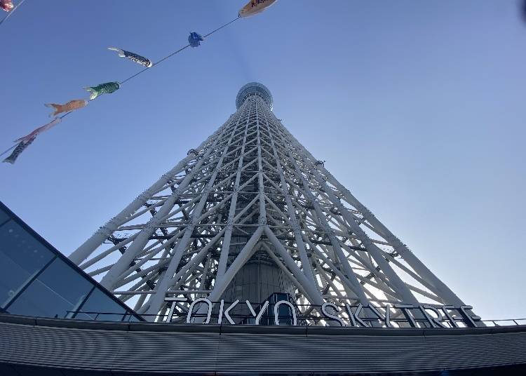 Did You Know? Surprising Facts About Tokyo Skytree and Area Highlights