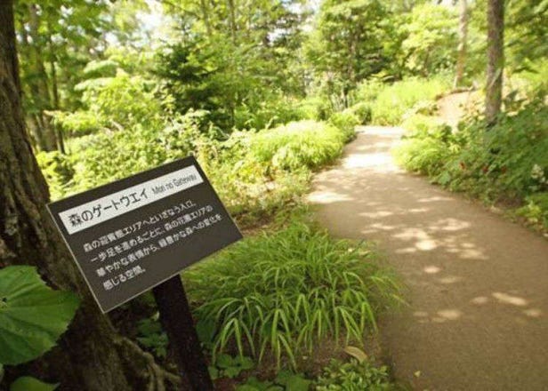 Daisetsu Mori-no Garden: Enjoy an elegant Hokkaido holiday at this fairy-tale forest!